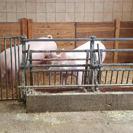 Kirchner Kleinsonnberg